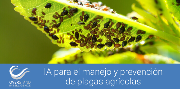 Inteligencia Artificial para la prevención y manejo de plagas agrícolas