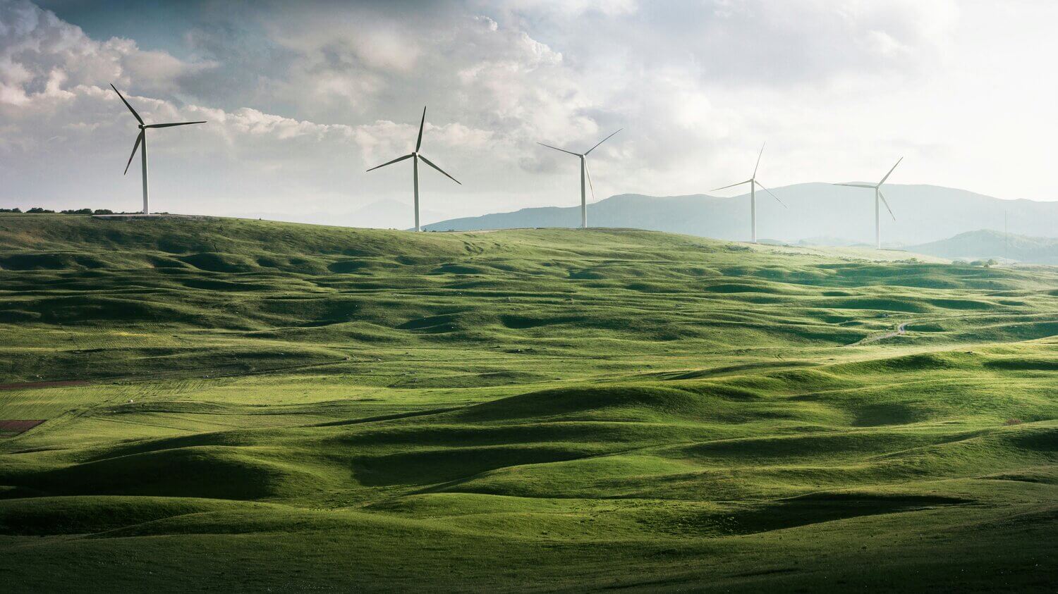 Imagen en la que se muestra una pradera verde junto a un conjunto de molinos eólicos en funcionamiento.